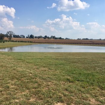 Prodigy Vineyards & Winery - Music Venues Near Me - Versailles, Kentucky Prodigy Vineyards & Winery - Music Venues Near Me - Versailles, Kentucky
