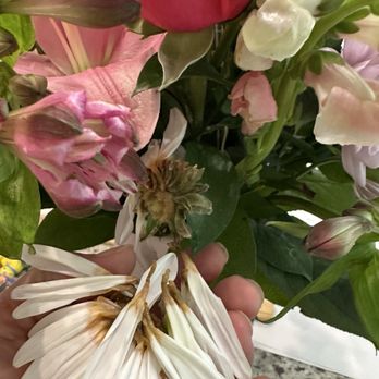 Susana's Flowers - When delivered. - Florists Near Me - Tomball, Texas Susana's Flowers - When delivered. - Florists Near Me - Tomball, Texas
