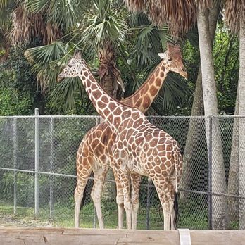 Naples Zoo - Zoos Near Me - Naples, Florida