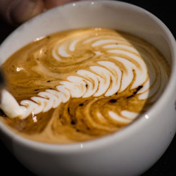 Camden Coffee House