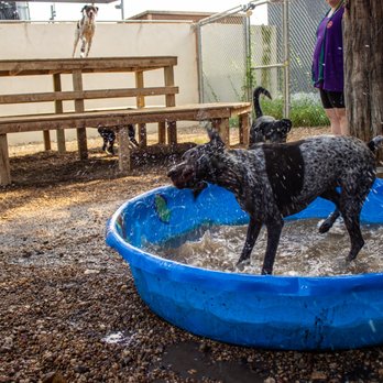 Taurus Academy Lake Travis - Pet Training Near Me - Austin, Texas Taurus Academy Lake Travis - Pet Training Near Me - Austin, Texas