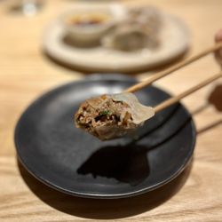 Raku - Vegetable Gyoza