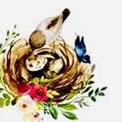 Robyn's Nest Boutique