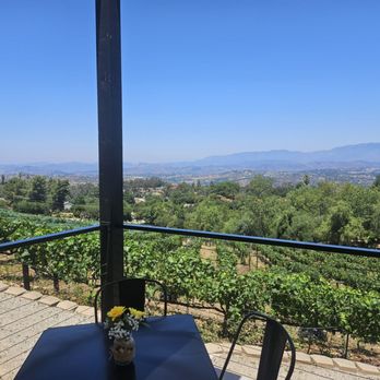 Hidden Meadows Vineyard - Photo from a terrace overlooking a vineyard - Wine Tasting Room Near Me - Escondido, California Hidden Meadows Vineyard - Photo from a terrace overlooking a vineyard - Wine Tasting Room Near Me - Escondido, California