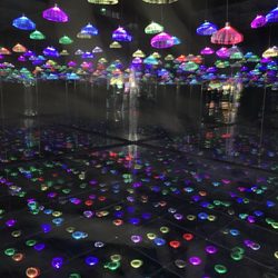 Imaginarium 360 Camarillo
