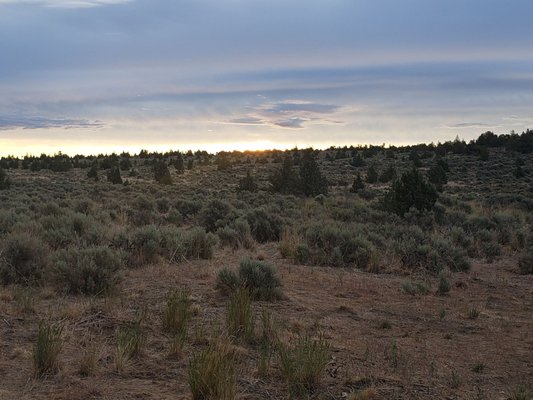 Oregon Badlands Wilderness by null