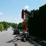 ArborCarepa - tree service in Reading, PA