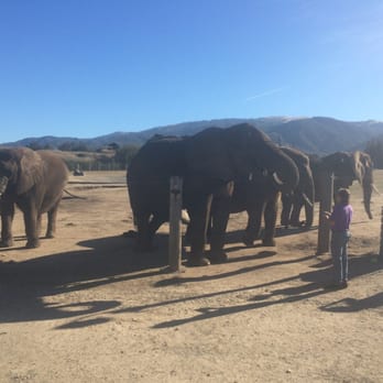 Vision Quest Ranch - Feed the elephants for $5 - Bed & Breakfast Near Me - Salinas, California