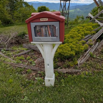 Big Walker Library - Big Walker Library, Wytheville - Community Book Box Near Me - Wytheville, Virginia