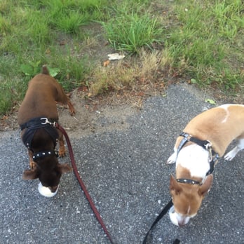 Uncle Ed's Front Porch - Ice cream for the pups! - Ice Cream & Frozen Yogurt Near Me - Rehoboth, Massachusetts Uncle Ed's Front Porch - Ice cream for the pups! - Ice Cream & Frozen Yogurt Near Me - Rehoboth, Massachusetts