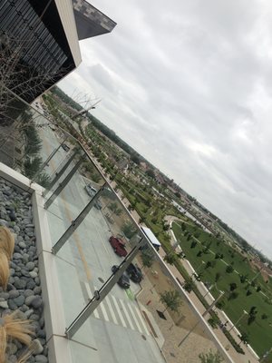 The Catbird Seat Pool Bar by null