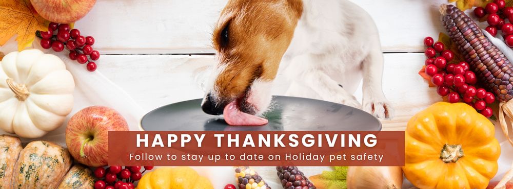 All Creatures Animal Hospital