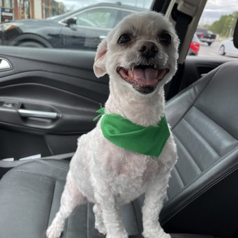 Paw Wash Plus - Maxx - Pet Groomers Near Me - New Port Richey, Florida Paw Wash Plus - Maxx - Pet Groomers Near Me - New Port Richey, Florida
