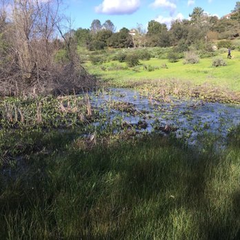 Los Jilgueros Preserve - Beautiful day! - Parks Near Me - Fallbrook, California Los Jilgueros Preserve - Beautiful day! - Parks Near Me - Fallbrook, California