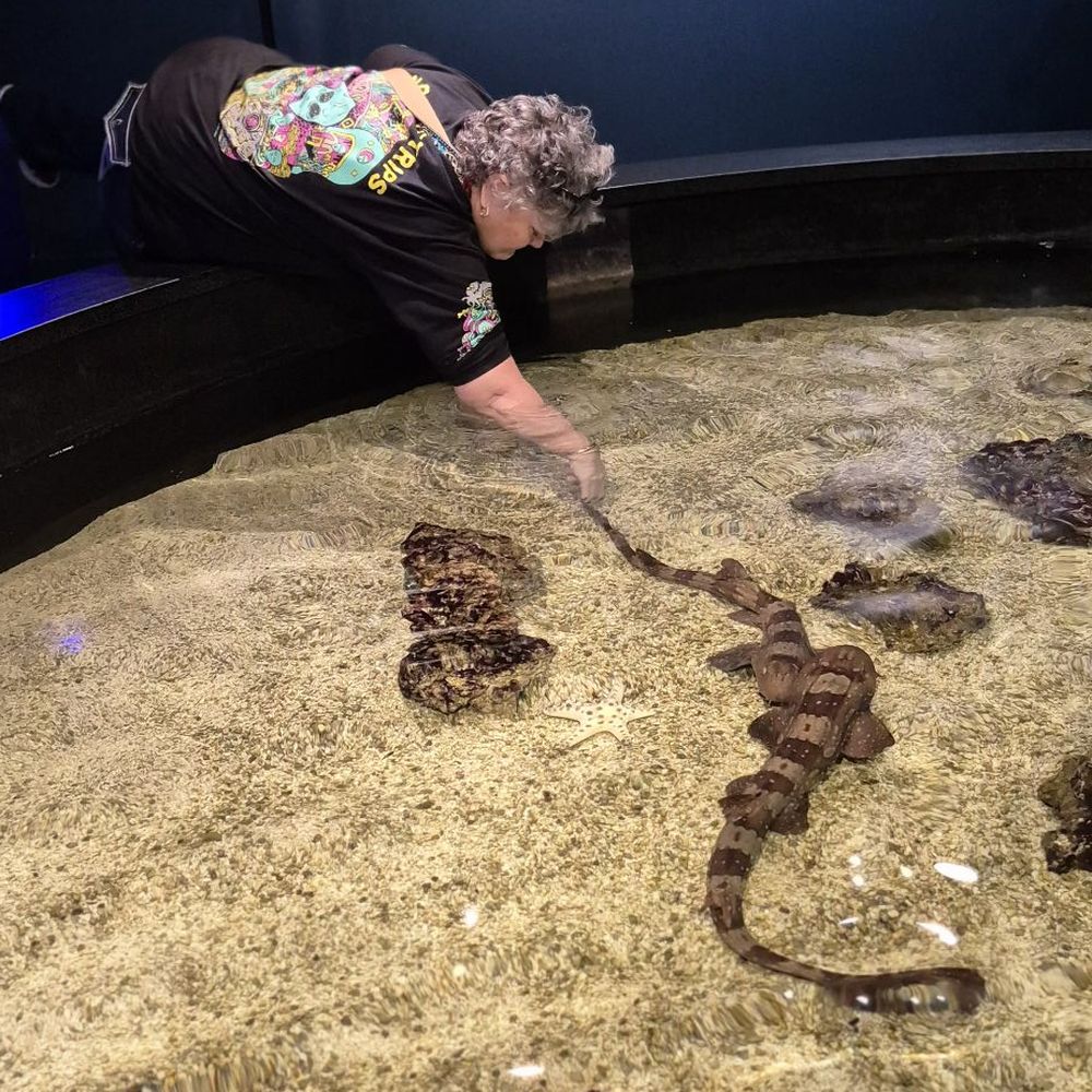 Texas State Aquarium - Getting to play with the babies - Aquariums Near Me - Corpus Christi, Texas Texas State Aquarium - Getting to play with the babies - Aquariums Near Me - Corpus Christi, Texas