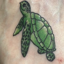 Dragons Lair Tattoo Studio - Turtle by Brandon Lee! @dragonslairtattoo