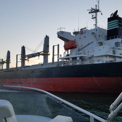Columbia River Eco Tours - We got to get fairly close to these large ships that bring goods from overseas for delivery along the Columbia. They anchor near Astoria.
