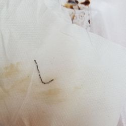 Kelly's Cajun Grill of Dolphin Mall - Piece of Metal in my food..Almost choke to deat..Awful experience..Never More!!