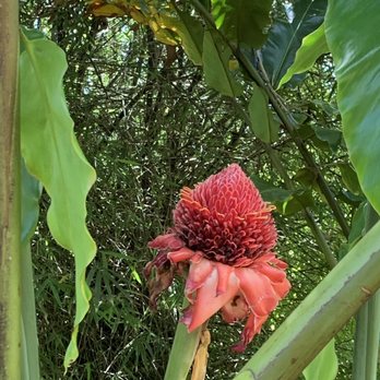 Hike Maui - Tours Near Me - Kahului, Hawaii