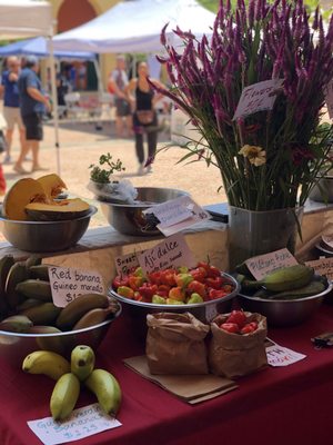 Viejo San Juan Farmers Market by null