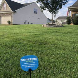 Superior Green