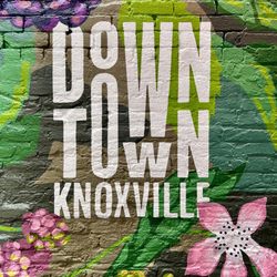 Artist Alley - DOWNTOWN KNOXVILLE