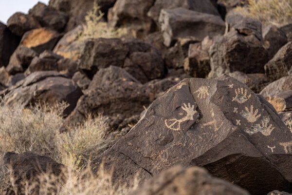 Petroglyph National Monument by null