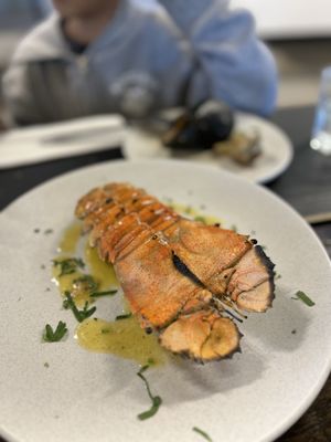 Claypots Evening Star by null