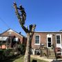 Photo of Carter J Trees