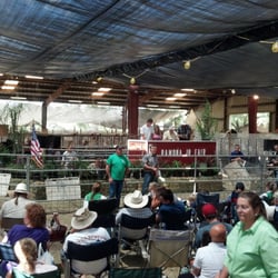 Ramona Junior Fair