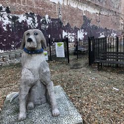 The Barking Lot Dog Park