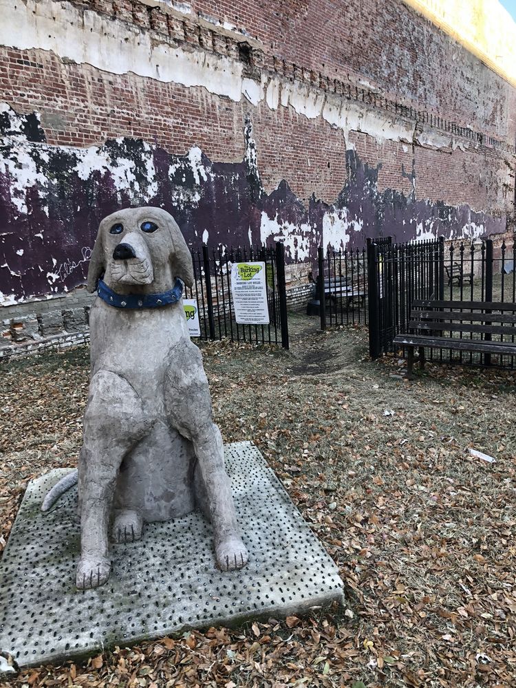 The Barking Lot Dog Park