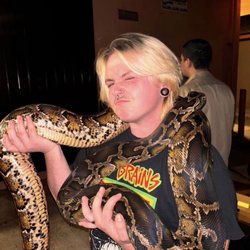 Reptile Rascals
