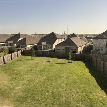 Moon Valley Nurseries - A spacious backyard enclosed by a wooden fence features three small, evenly spaced trees planted in the grass. The yard has neatly mowed grass and is bordered by neighboring houses with various roof styles. The sky is clear, and the overall scene suggests a suburban residential area. - Nurseries & Gardening Near Me - Buda, Texas