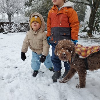 Golden Xpress Labradoodles - My nephews with their Golden Xpress dog - Pet Training Near Me - Mulino, Oregon Golden Xpress Labradoodles - My nephews with their Golden Xpress dog - Pet Training Near Me - Mulino, Oregon