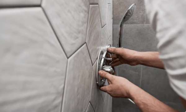 Francis Dwyer Master Plumber