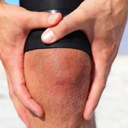 Northgate Physiotherapy Chiropractic & Massage Therapy Centre - Photo