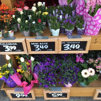 Trader Joe's - They have the best flower selection in Oakland. - Grocery Near Me - Oakland, California Trader Joe's - They have the best flower selection in Oakland. - Grocery Near Me - Oakland, California