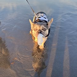 Mad River Beach