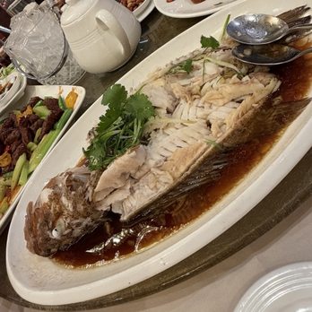 Grand Dynasty - Seafood Near Me - San Jose, California