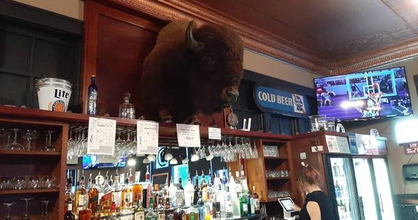 Buffalo Saloon Casino and Lodge by null