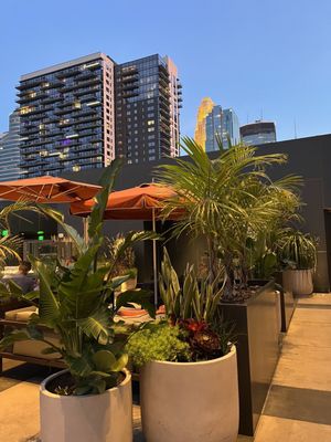 Riva Terrace by null