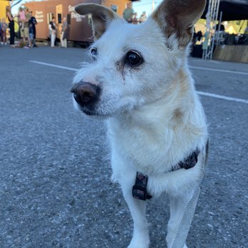 Truckee Thursdays - Festivals Near Me - Truckee, California Truckee Thursdays - Festivals Near Me - Truckee, California
