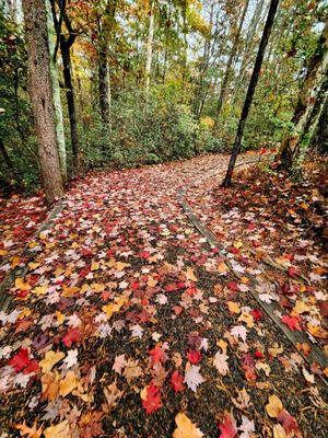 Tallulah Gorge State Park by null