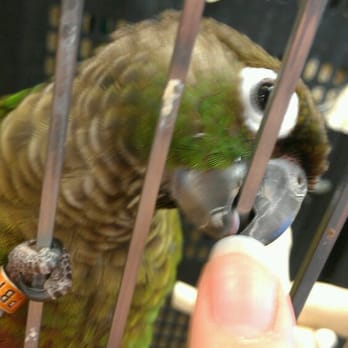 PetSmart - He likes my finger! - Pet Stores Near Me - Mason, Ohio