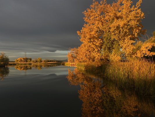 Rocky Mountain Arsenal National Wildlife Refuge by null