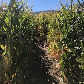Wemple's Pumpkin Patch - Pumpkin Patches Near Me - Milford, California