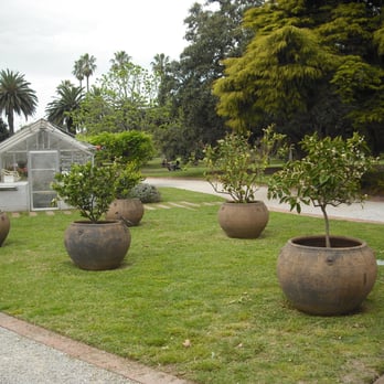St Kilda Botanical Gardens - Parks Near Me - St Kilda, VIC