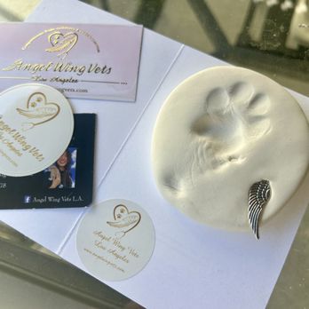 Angel Wings Vets - Paw prints - Veterinarians Near Me Angel Wings Vets - Paw prints - Veterinarians Near Me