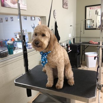 Posh Pets - Pet Groomers Near Me - Richfield, Utah